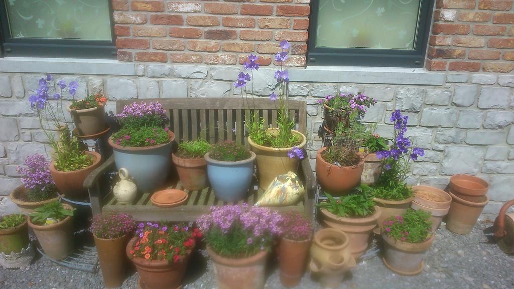 B&B Au Coeur De Villers Eksteriør billede